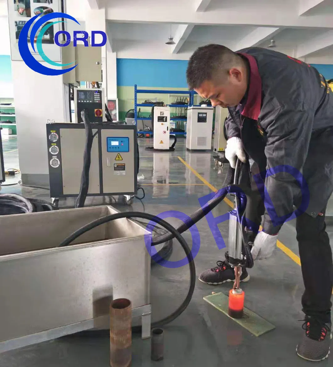 আইজিবিটি+ডিএসপি+সিই প্রোটেবল ইন্ডাকশন হিটার মেশিন ধাতব শীট সহ 3